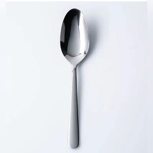 Elegant Silver Spoon GUSTO SERVING SPOON Brand new in plastic